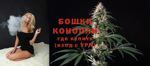 гидра Белоозёрский