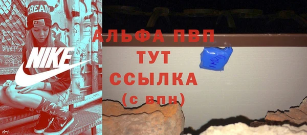 индика Россошь